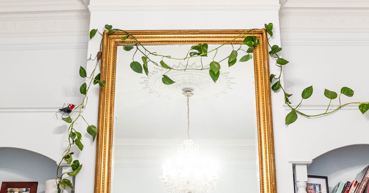 A Guide to Sustainable Junk Removal Practices in Melbourne