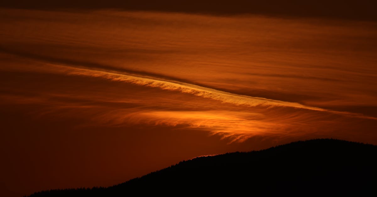 Comparing Free Quote Options Across Melbourne Junk Removal Services