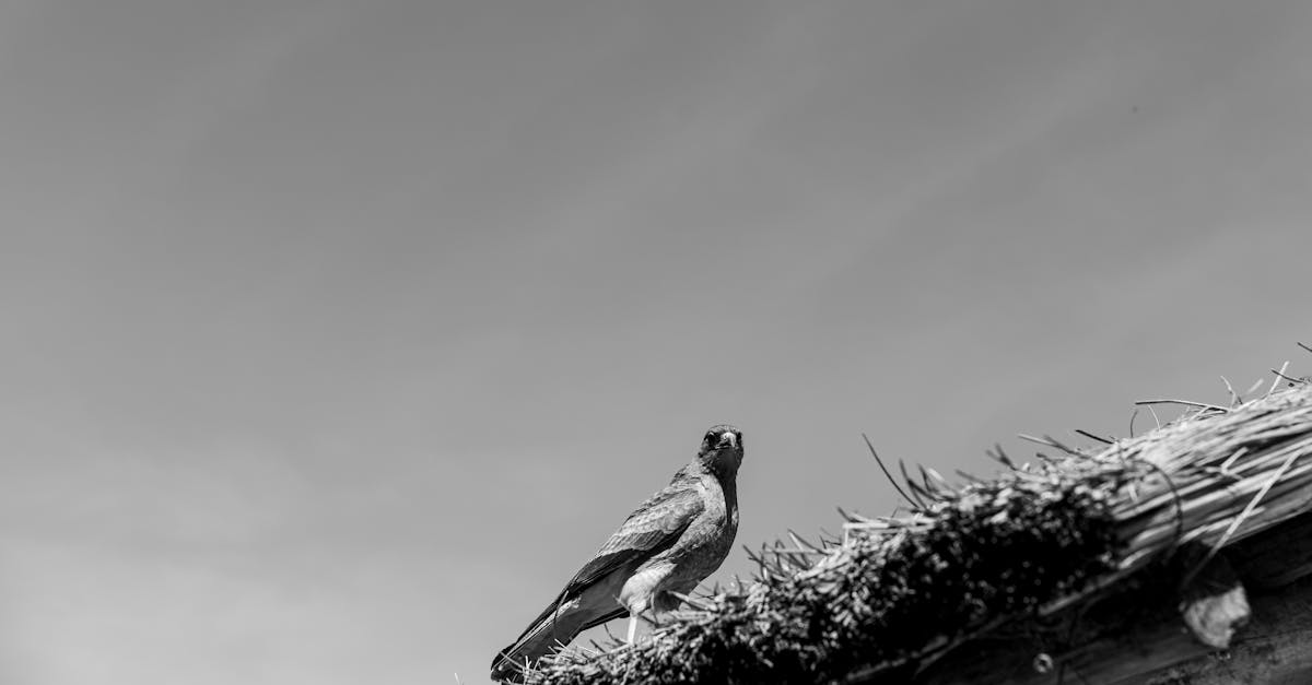 Demystifying the Myths of Electronic Waste Recycling