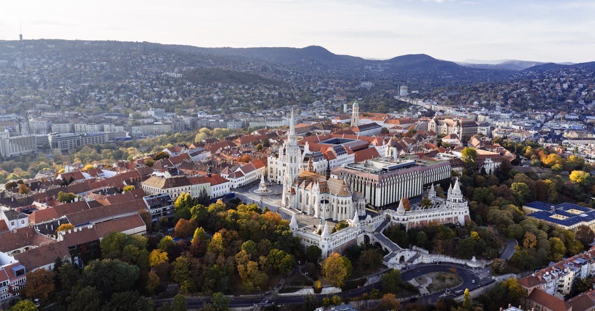 Heartfelt Stories: Customers Share Their Junk Removal Successes