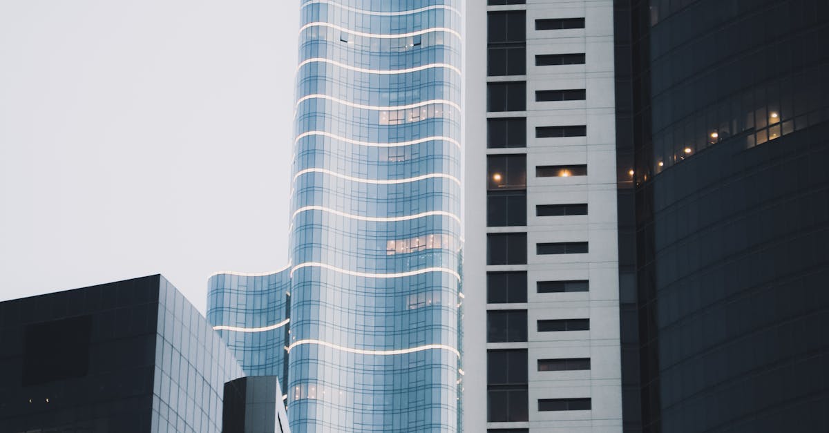 How Ratings Influence the Selection of Junk Removal Services