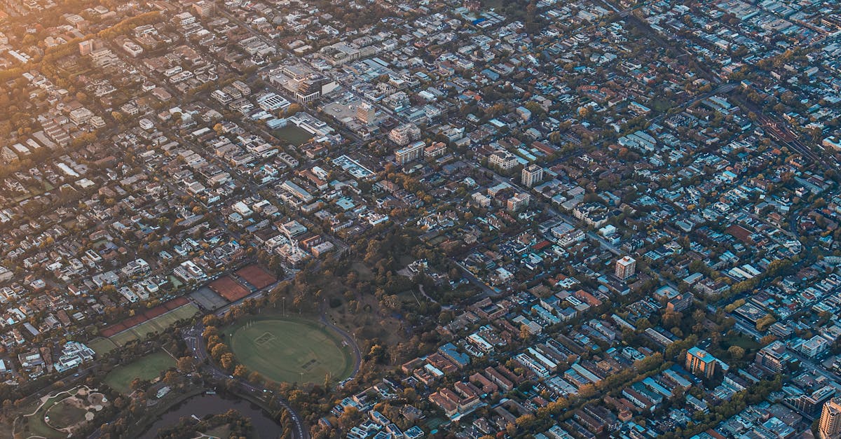 How to Choose an Eco-Friendly Junk Removal Service