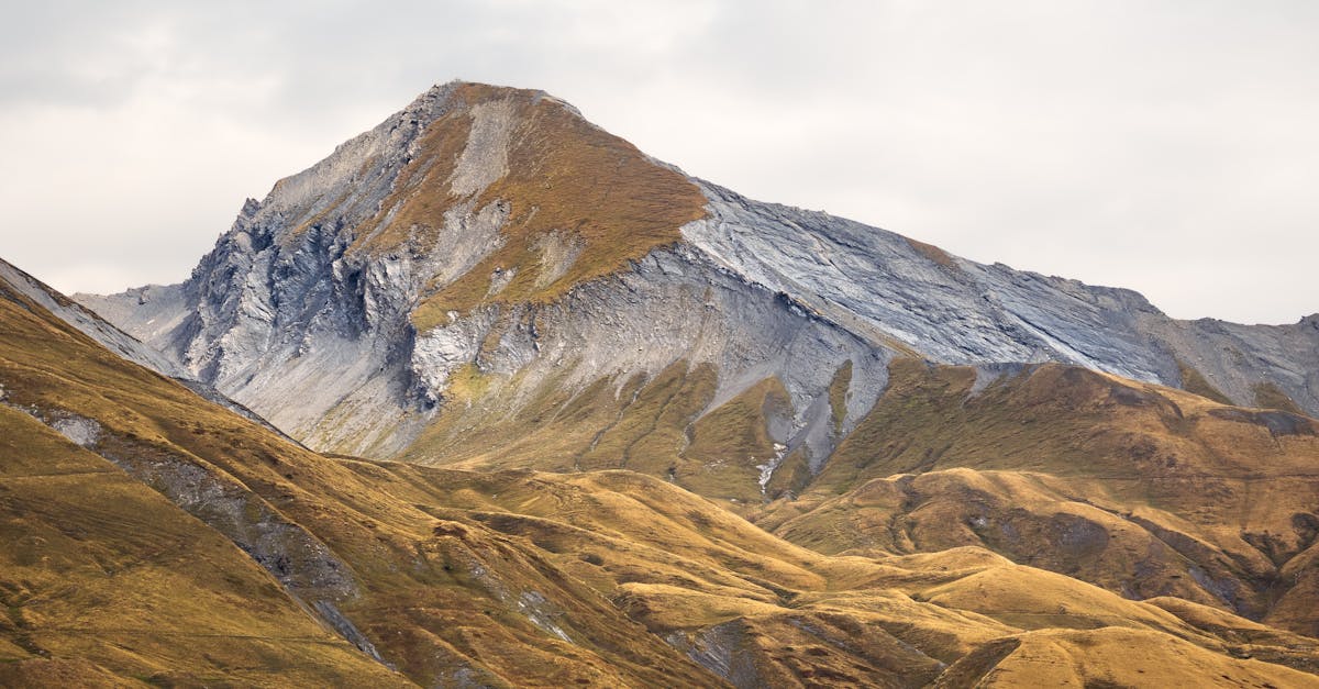 How to Manage Construction Site Debris Effectively