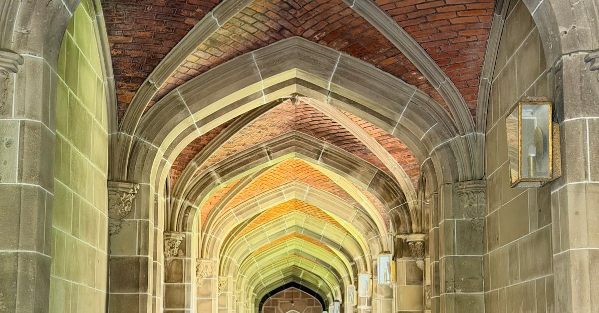 Seasonality and Its Effect on Affordable Junk Removal Rates