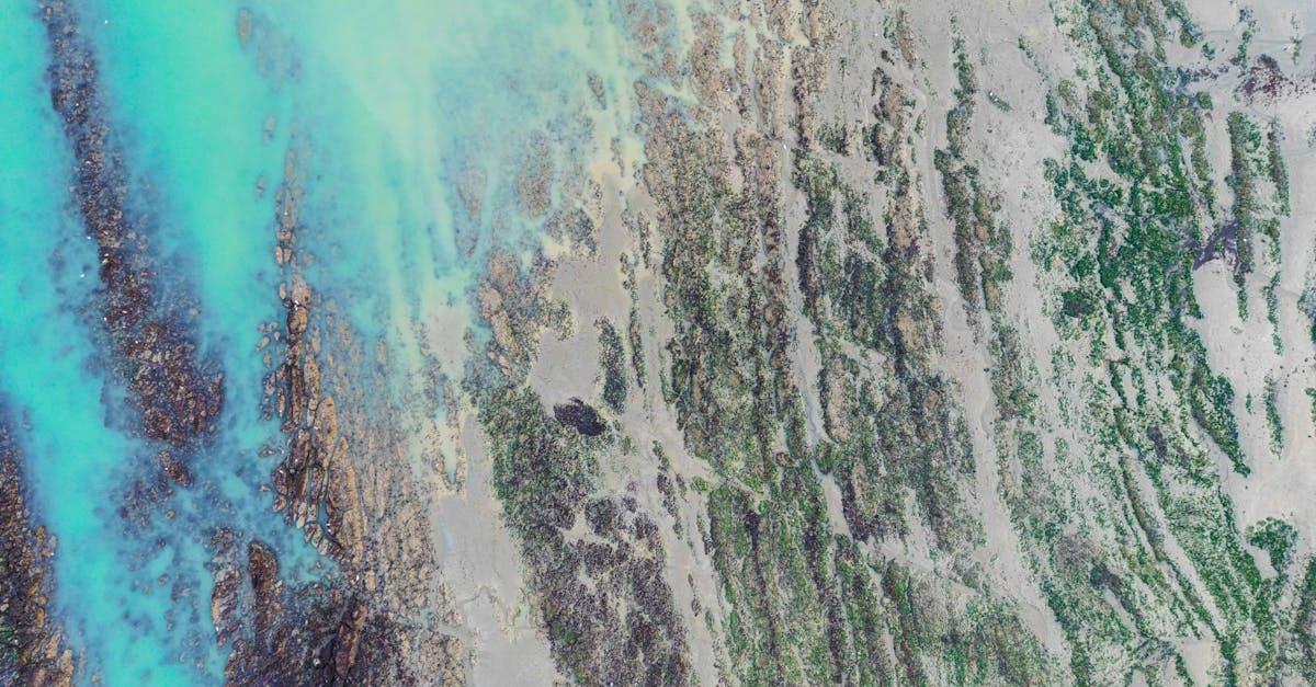 Testimonials on Prompt and Friendly Junk Removal Teams