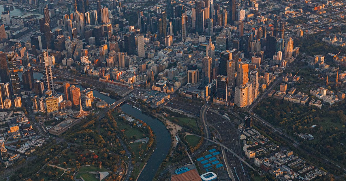 The Importance of Professional Junk Removal for Businesses