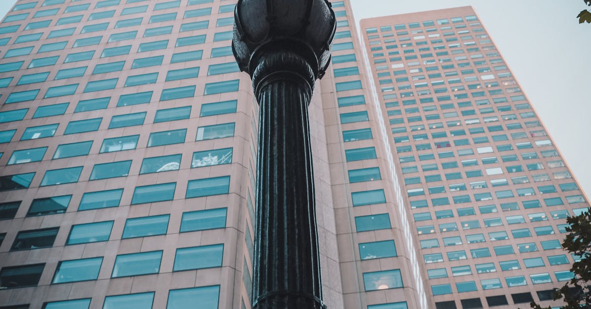 The Role of Junk Removal Services in Home Renovations